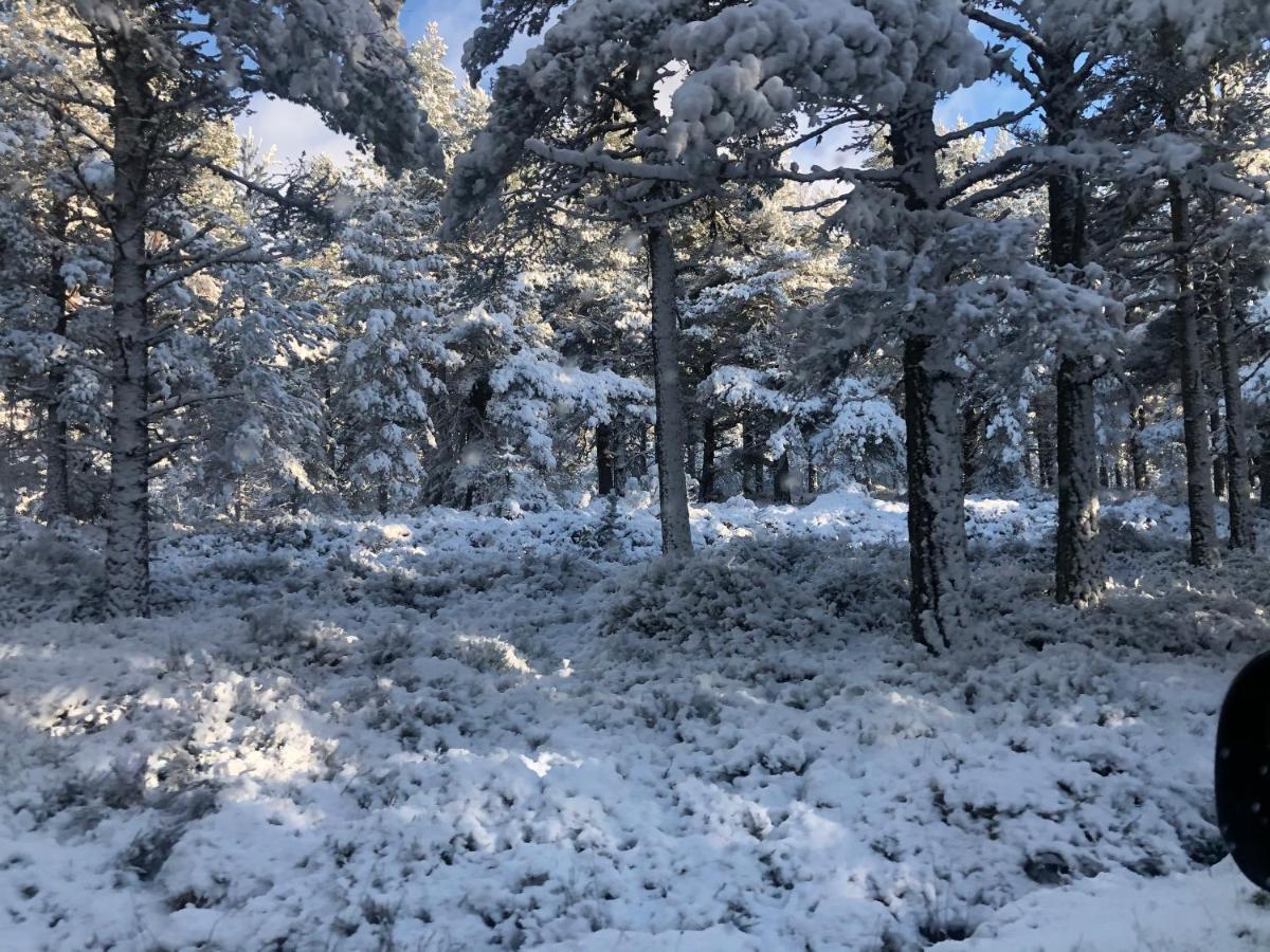 Linmore Aviemore Bagian luar foto