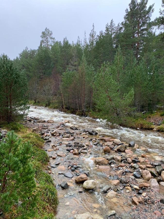 Linmore Aviemore Bagian luar foto