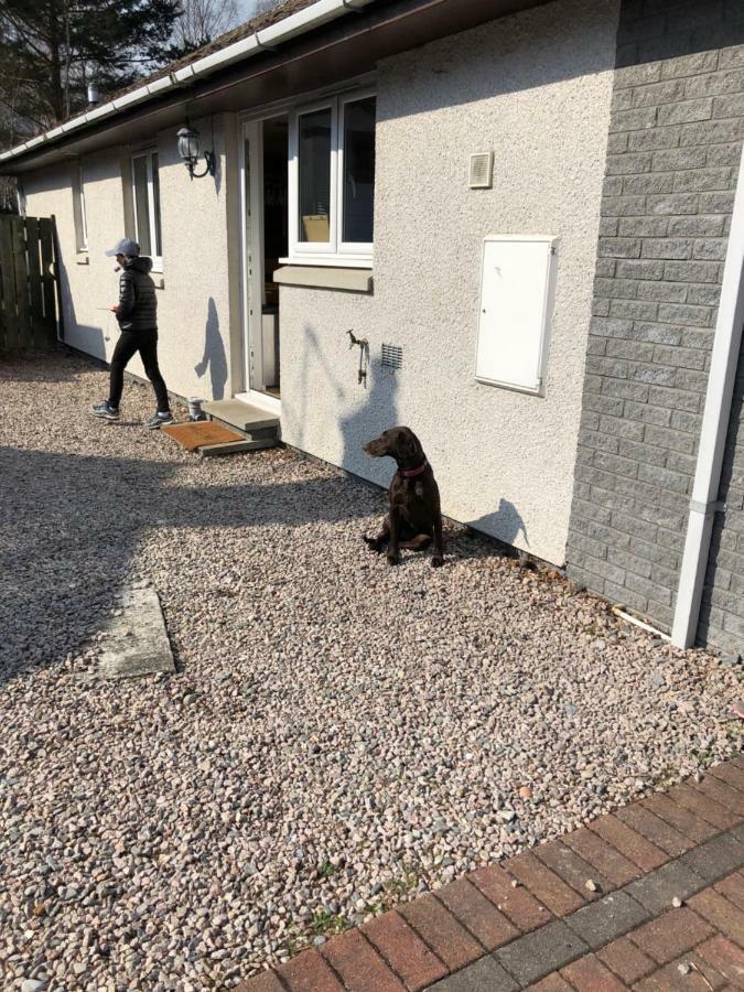 Linmore Aviemore Bagian luar foto