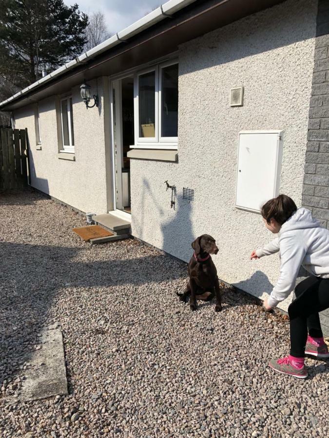 Linmore Aviemore Bagian luar foto