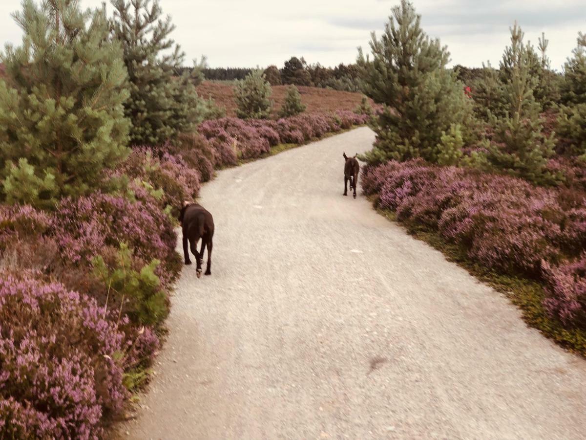 Linmore Aviemore Bagian luar foto