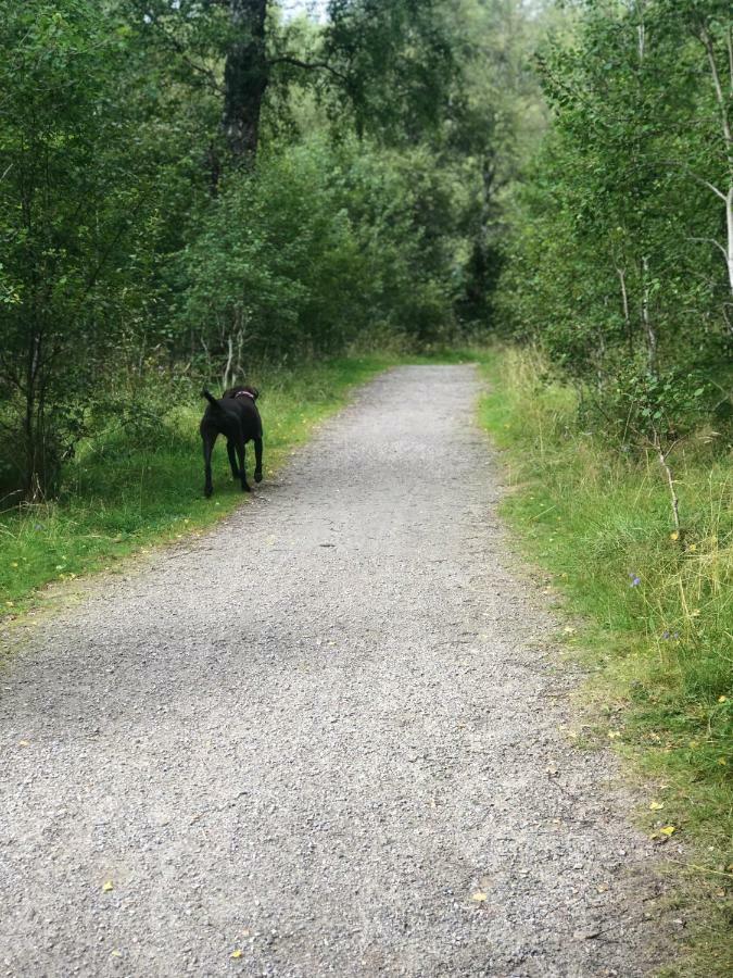 Linmore Aviemore Bagian luar foto
